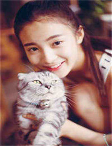 《www.maomao.com》