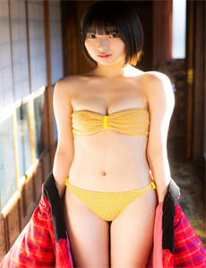 《深圳豹四梁能美》