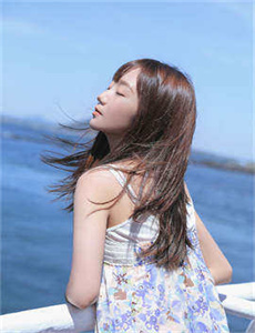 《欧美人与doq》